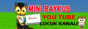 minibaykus.com